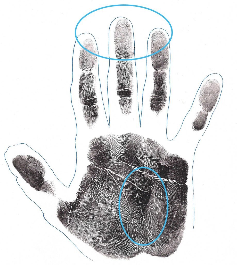 Short Middle Finger and Sub-Con Fate Line
