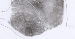 Life Line with a stronger inward fork