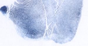 Small forks and feathering at the base of the Life Line