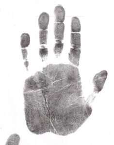 Long ring finger — low digit ratio