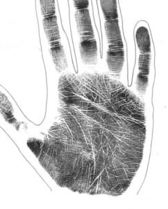 A full hand with a dense network of lines